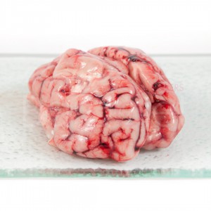 Cervells de porc 
