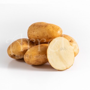 patata kenebec